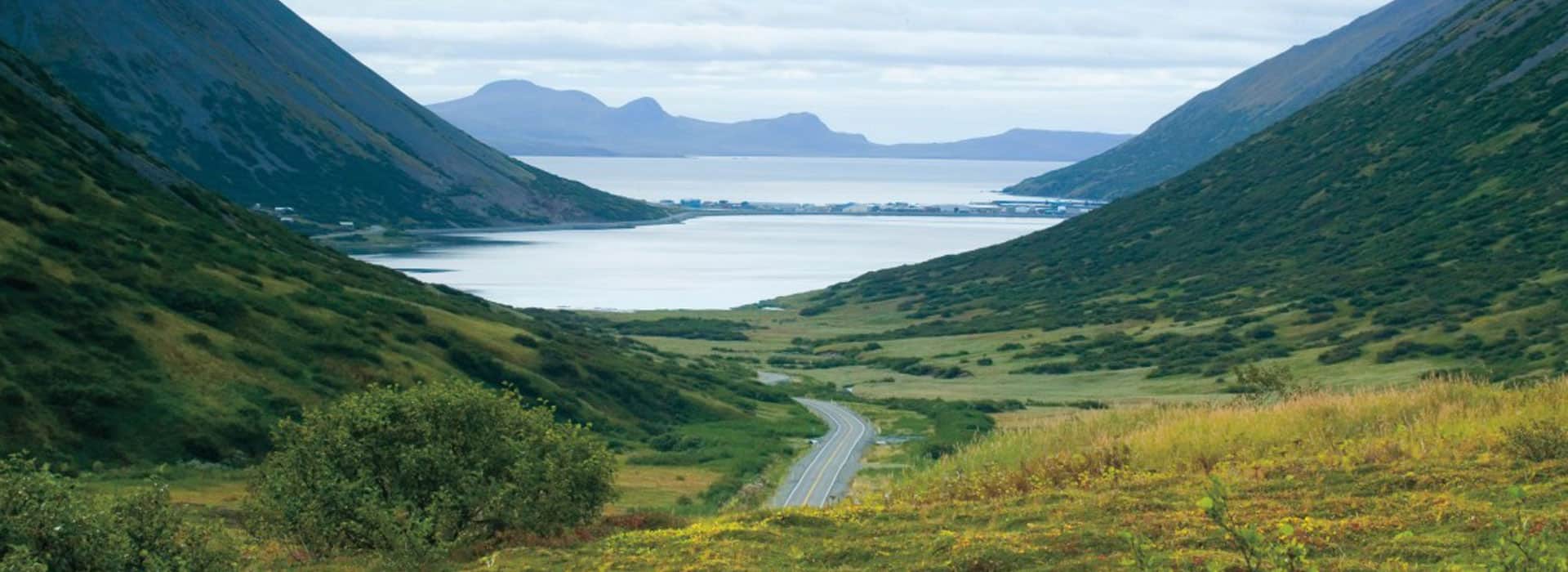 Native Village of King Cove Bold Cape IT LLC