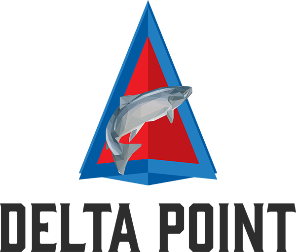 Delta Point Logo